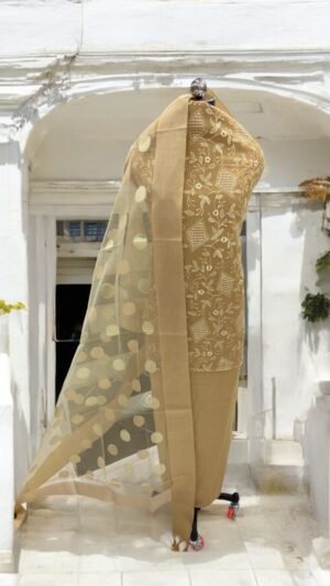 Super-net Suit & Banarasi Dupatta